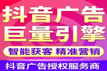 百度优化推广案例剖析：某电商平台的成功之路