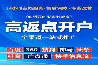 某行业头部企业信息流广告推广全解析